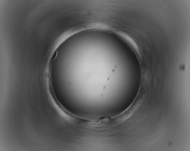 X0000102221391200807251200