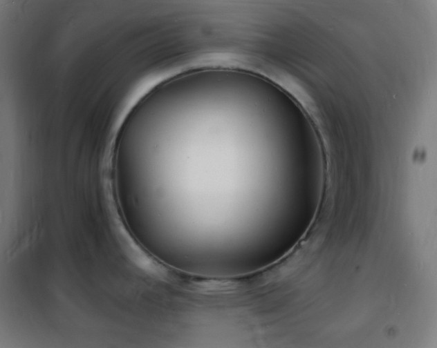 X0000102221392200807251200