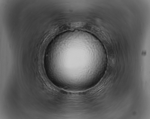 X0000102221393200807251159