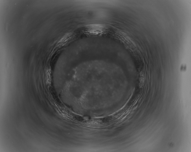 X0000102221394200807251159