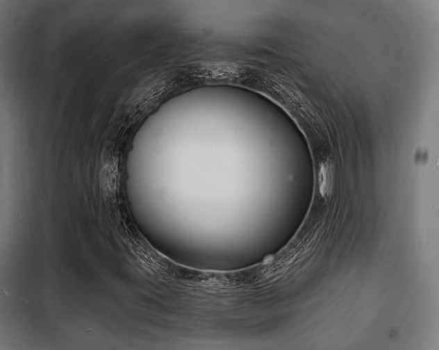 X0000102221395200807251159