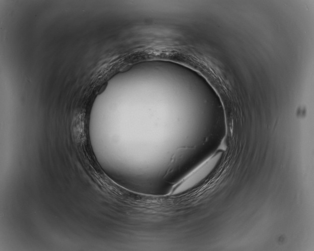 X0000102221396200807251159