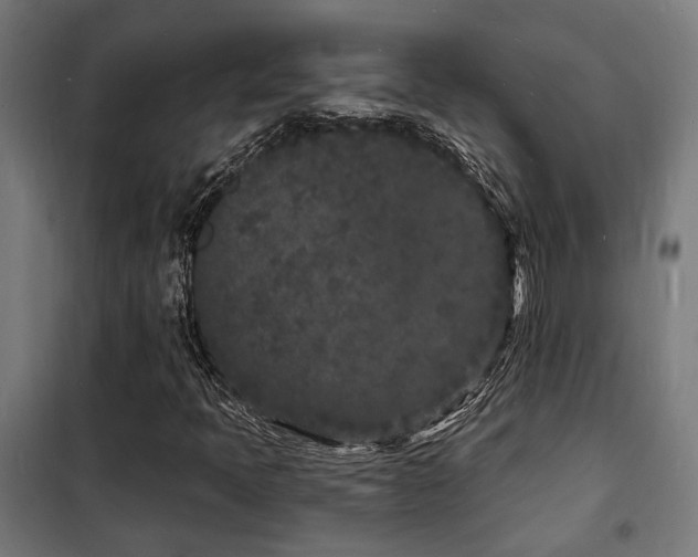 X0000102221397200807251159