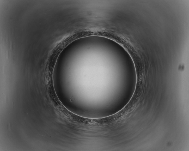 X0000102221398200807251159
