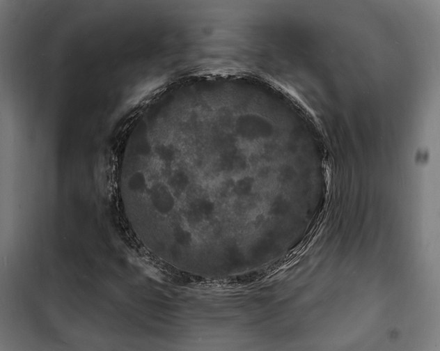 X0000102221399200807251159