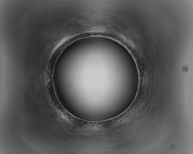 X0000102221400200807251159