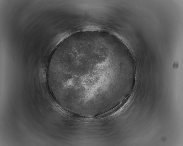X0000102221401200807251159