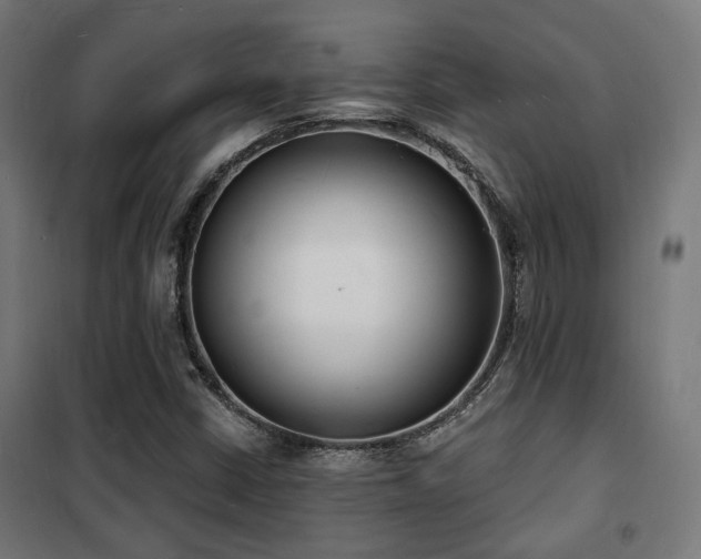 X0000102221402200807251159