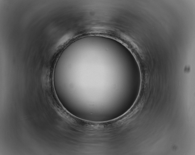 X0000102221403200807251159