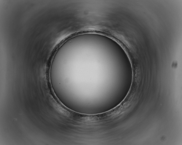X0000102221404200807251159