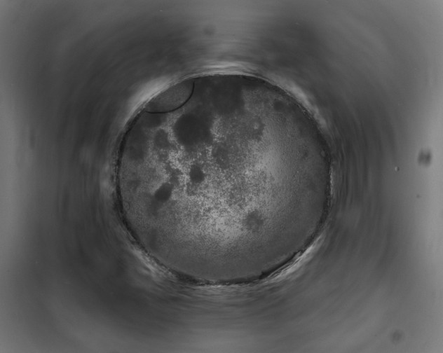 X0000102221405200807251159
