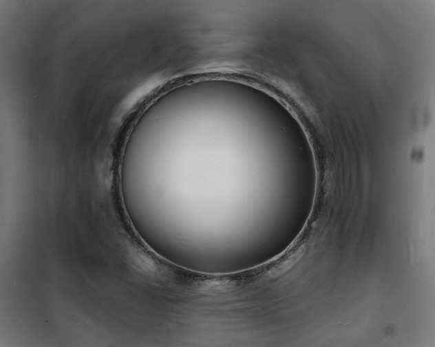 X0000102221406200807251159