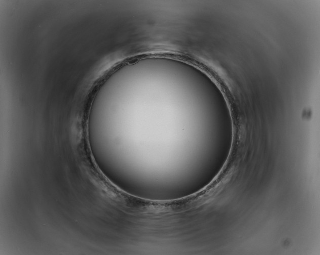 X0000102221407200807251159