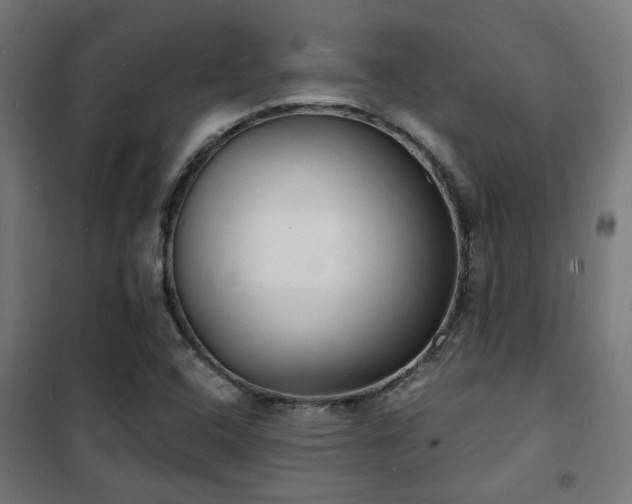 X0000102221408200807251159