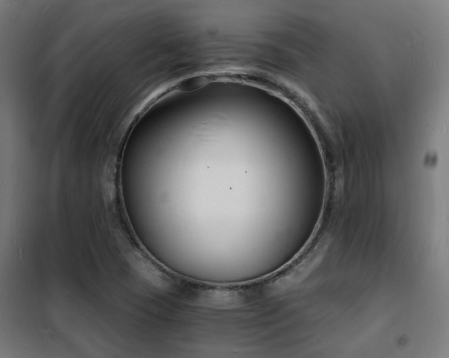 X0000102221409200807251159