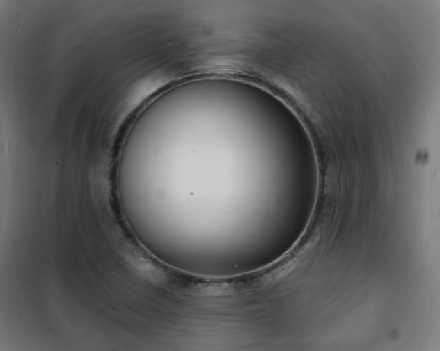 X0000102221410200807251159
