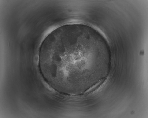 X0000102221413200807251159