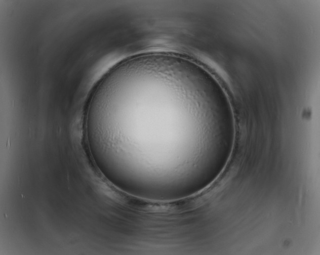 X0000102221415200807251200