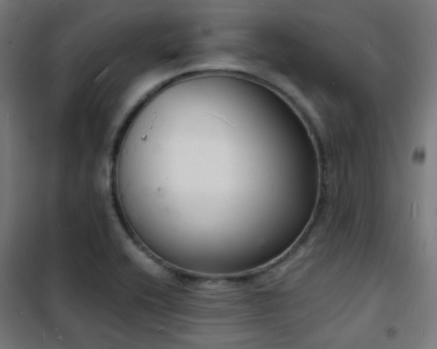 X0000102221416200807251200