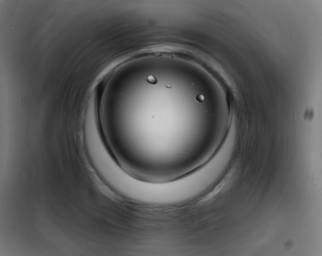 X0000102221417200807251200