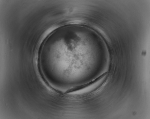 X0000102221418200807251200