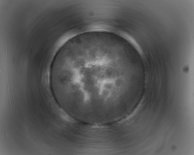 X0000102221419200807251200