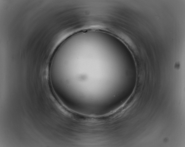 X0000102221420200807251200