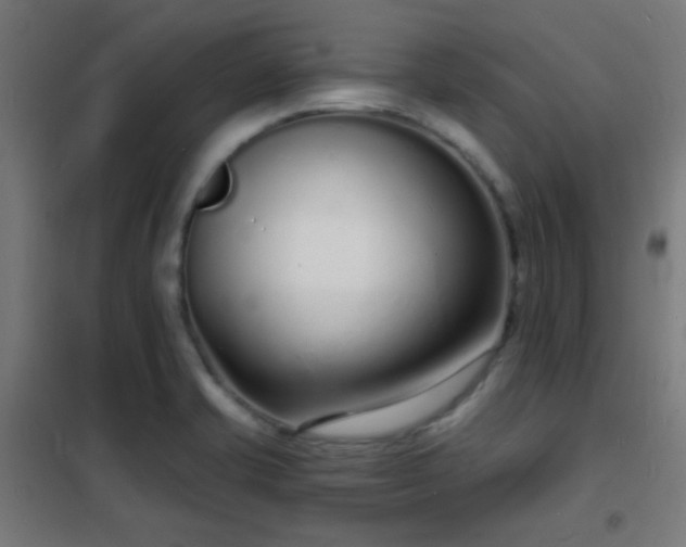X0000102221421200807251200