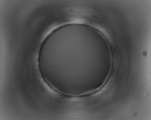 X0000102221422200807251200