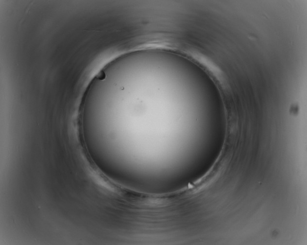 X0000102221423200807251200