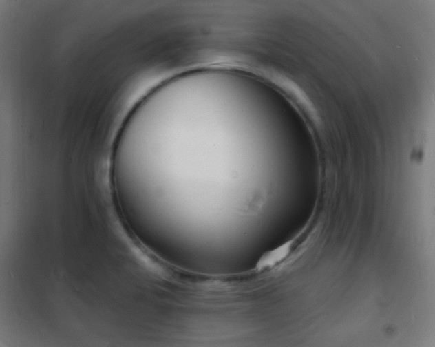 X0000102221424200807251200