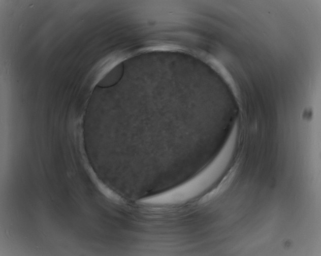 X0000102221425200807251200