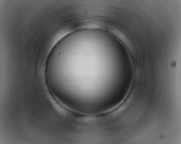 X0000102221426200807251200