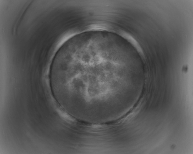 X0000102221427200807251200