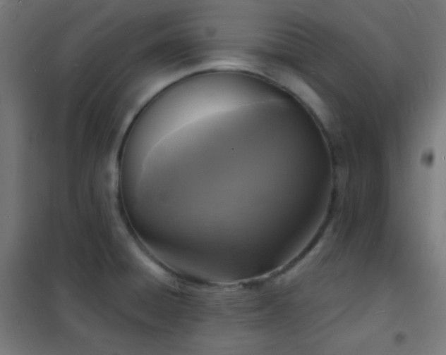 X0000102221428200807251200