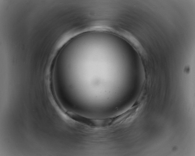 X0000102221430200807251200