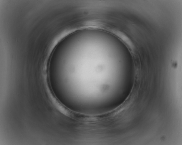 X0000102221431200807251200