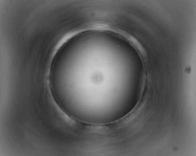 X0000102221432200807251200
