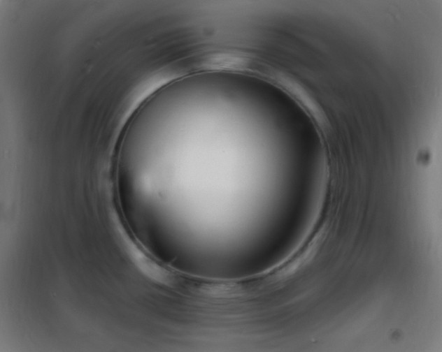 X0000102221434200807251200