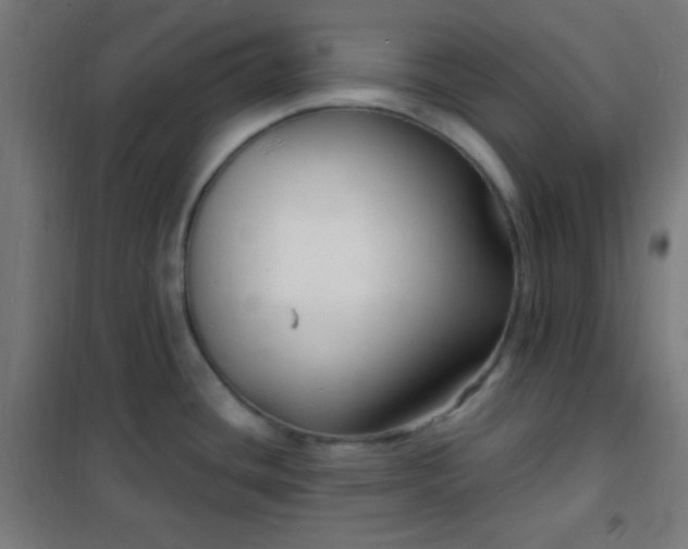 X0000102221436200807251200