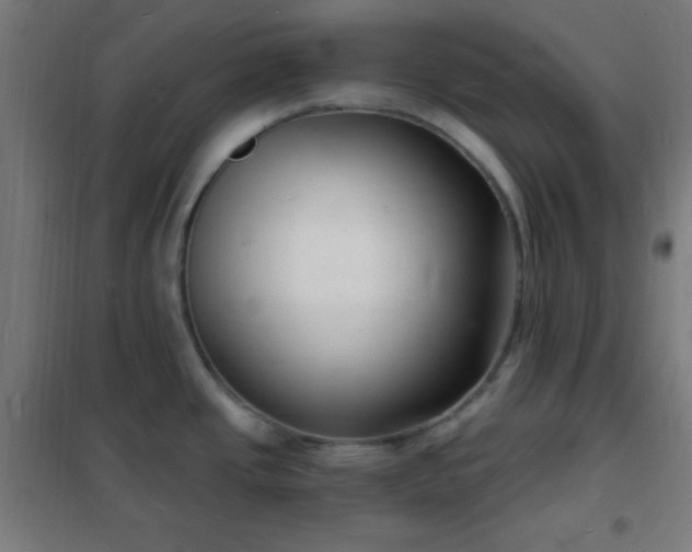 X0000102221437200807251200