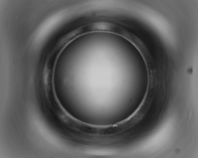 X0000102221438200807251200