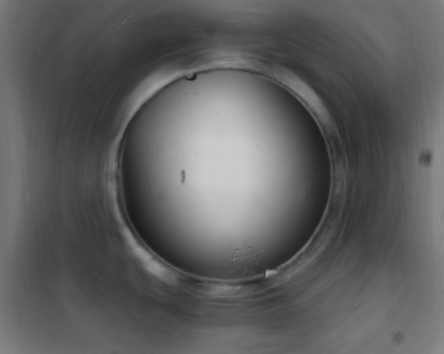X0000102221439200807251200