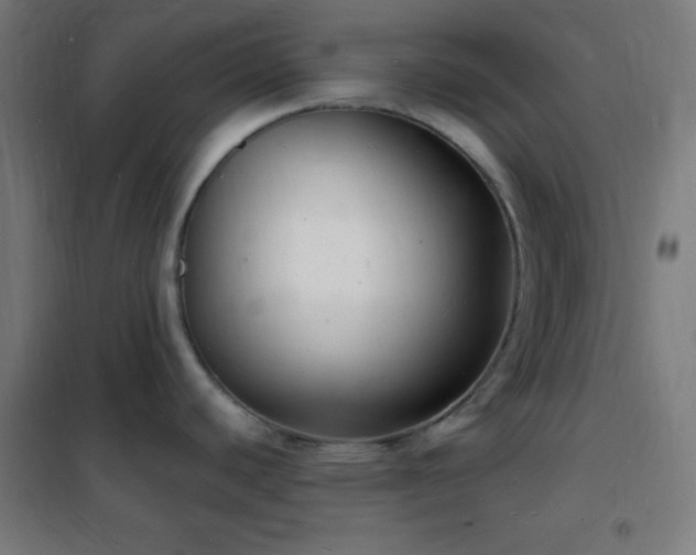 X0000102221440200807251200