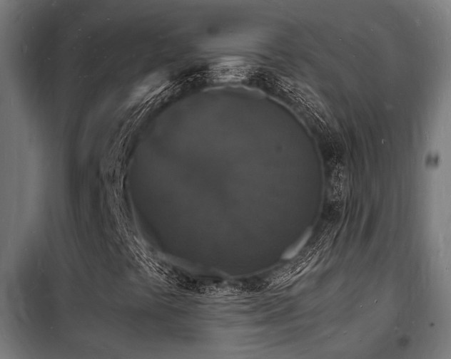 X0000102221441200807251159