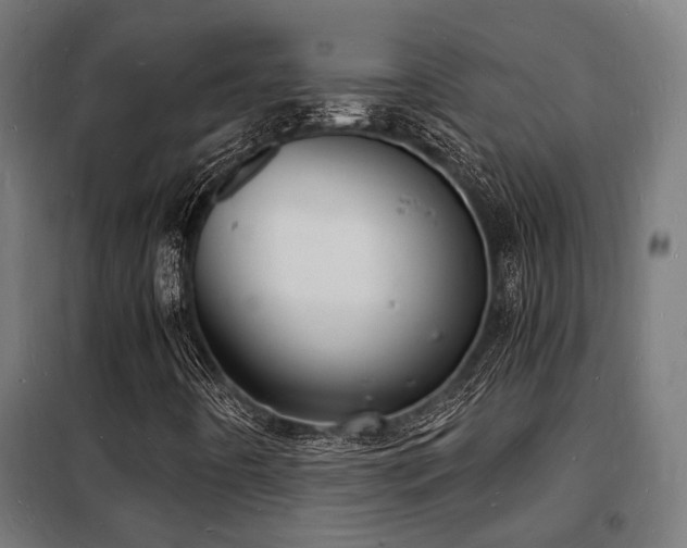 X0000102221442200807251159