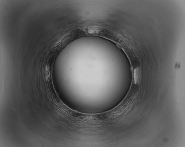 X0000102221443200807251159