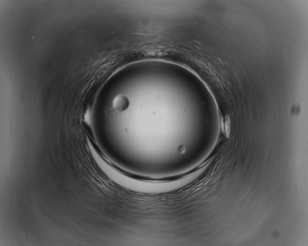 X0000102221444200807251159