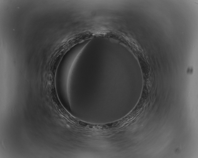X0000102221445200807251159