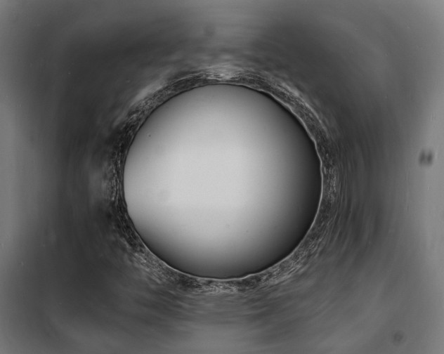 X0000102221446200807251159